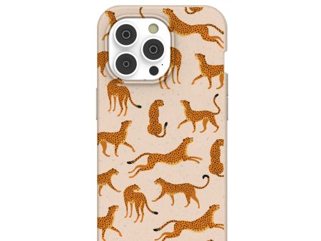 Seashell Wild Cats iPhone 14 Pro Case with MagSafe Module on Sale