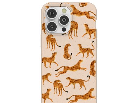 Seashell Wild Cats iPhone 14 Pro Max Case with MagSafe Module Cheap