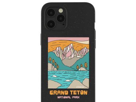 Black Grand Teton iPhone 12 Pro Max Case Cheap