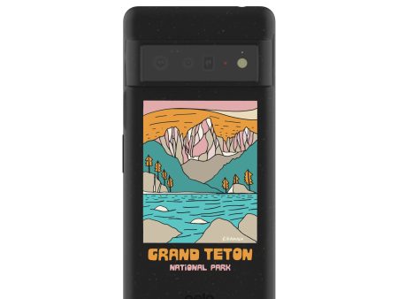 Black Grand Teton Google Pixel 6 Pro Case Online